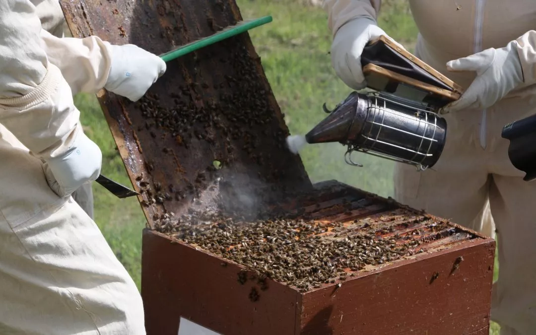 Safety Alert for Bee Smokers